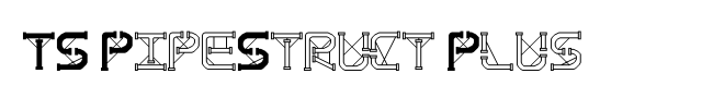 TS PipeStruct Plus