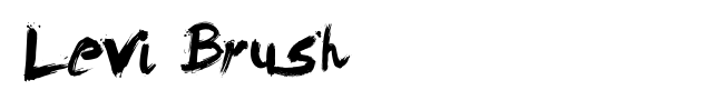 Levi Brush