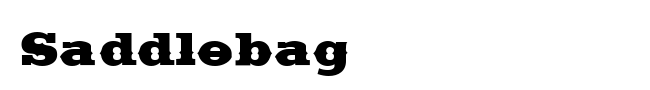 Saddlebag