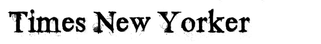 Times New Yorker