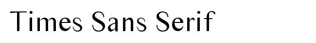 Times Sans Serif